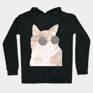 Sunglasses cat Hoodie